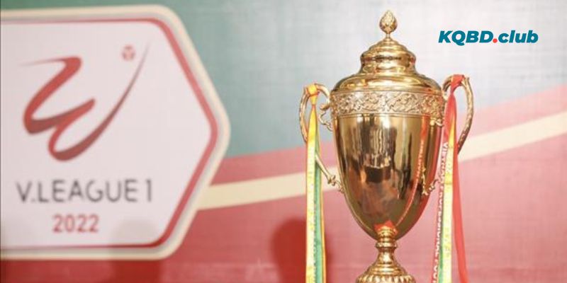 Sơ lược thông tin về giải thi đấu bóng đá quốc gia Việt Nam