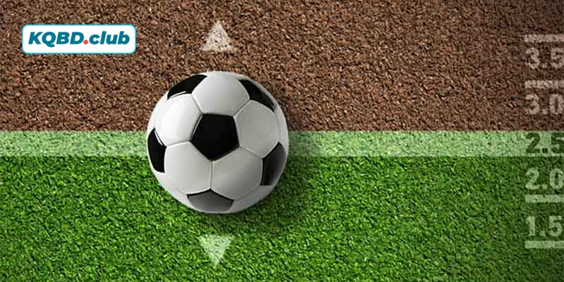 Các sân chơi điều chỉnh kèo cược như thế nào dựa trên sân bãi và thời tiết?