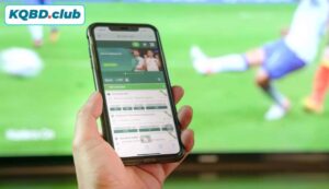 Odds là gì trong cá cược bóng đá?